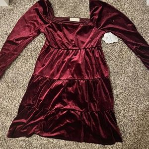 Altard state velvet dress.